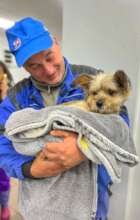 Dumitresti spayathon