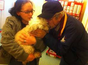 Craiova ongoing spay program helping community