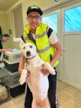 Mobile campaigns took us to villages near Sibiu