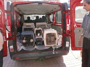 New RAR van collected strays for spay/neuter