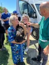 Dr. Aurelian spay/neuter outreach