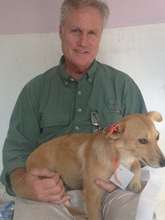 Rory Janes, volunteer