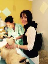 Siri Ydstie, volunteer from Norway