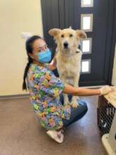 Spay Neuter Center of Hope