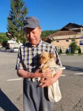 Spay Shuttle spayathon