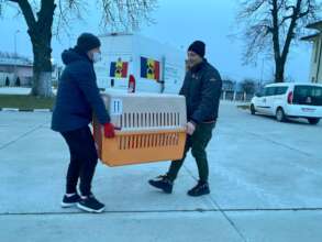 Loading up the Spay Shuttle