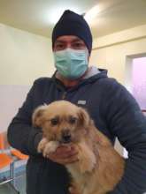 Spays in Craiova at Family Vet