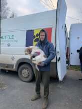 Rescuer Catalin brings in community dogs