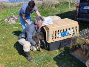 loading for transport on Spay Shuttle