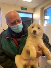 Mr. Stefan runs a local shelter