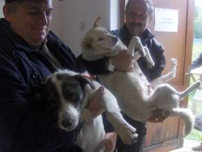 Great men know how important spay/neuter is!