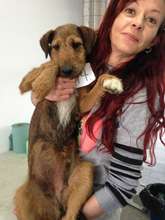 Lelia is part of the RAR Dream Team