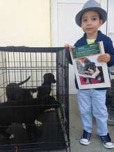 spay neuter and education !