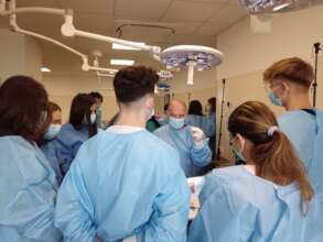 Teaching vet students the importance of spay/neute