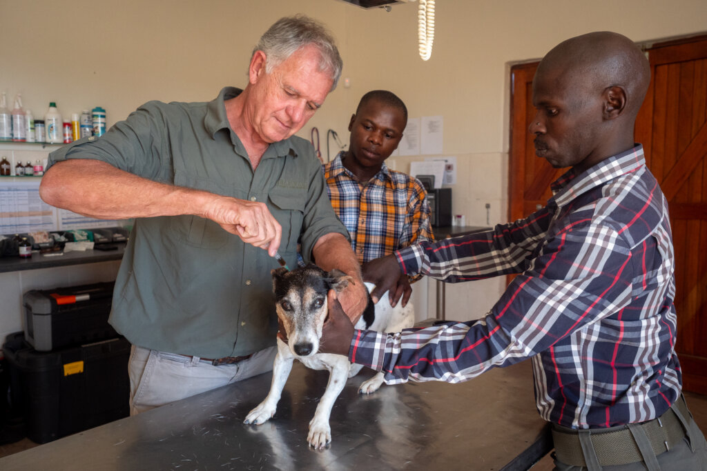 Provide Veterinary Care for Rural Communities