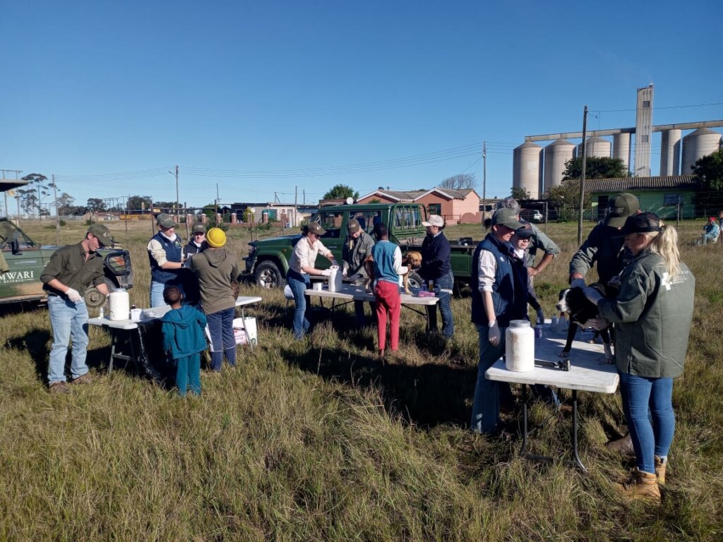 Provide Veterinary Care for Rural Communities