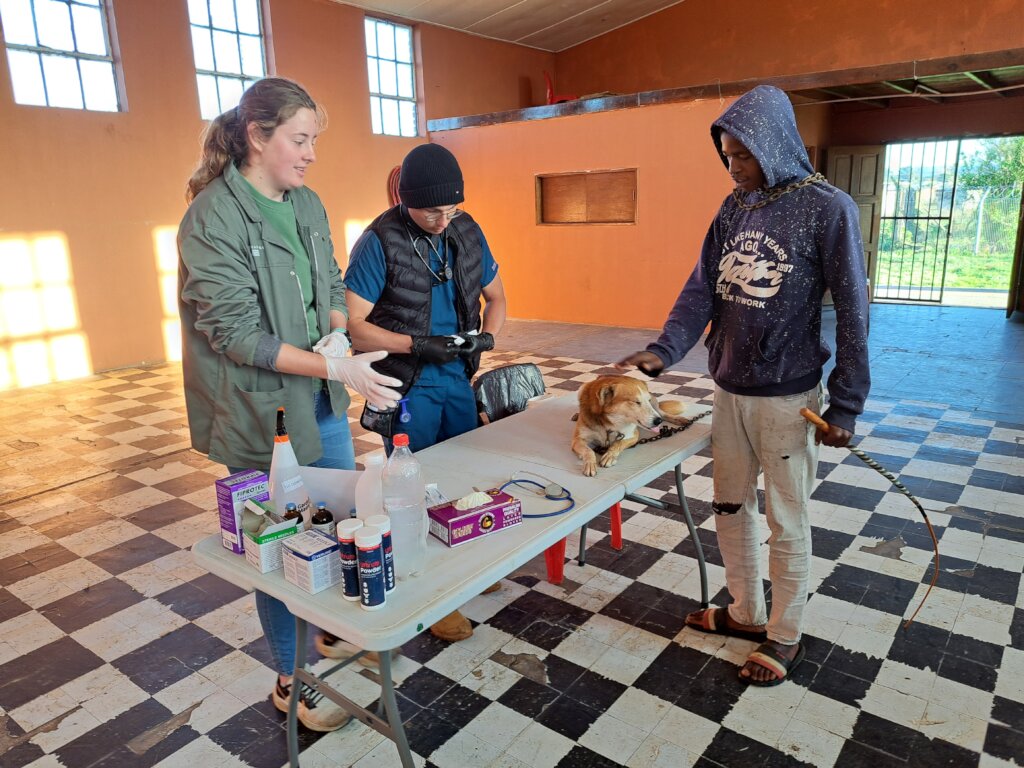 Provide Veterinary Care for Rural Communities
