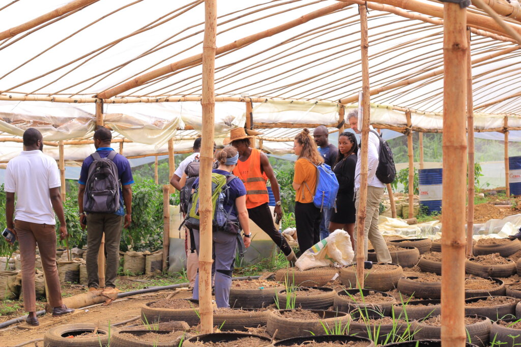 Build Refugee Biofarm School in Cameroon