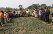 Build Refugee Biofarm School in Cameroon