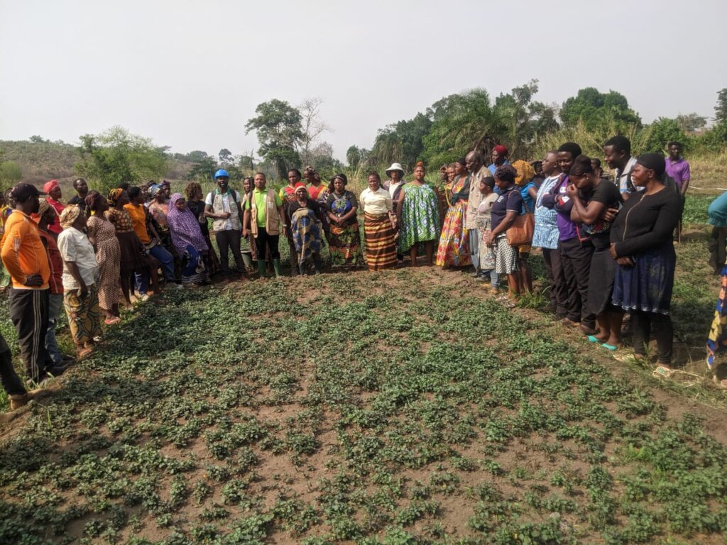 Build Refugee Biofarm School in Cameroon