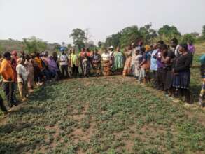 Build Refugee Biofarm School in Cameroon