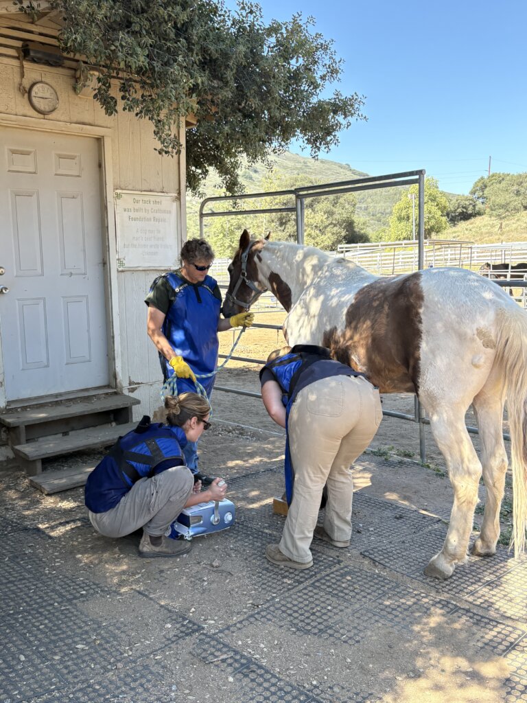 Vet Care For Our Herd