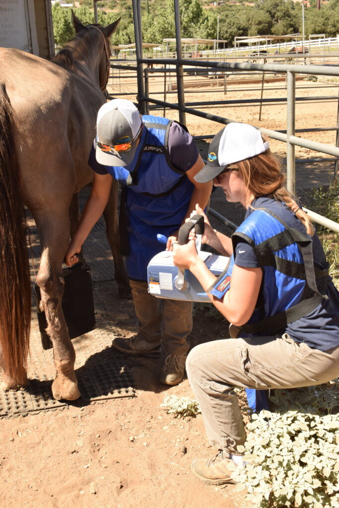 Vet Care For Our Herd
