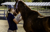 Vet Care For Our Herd