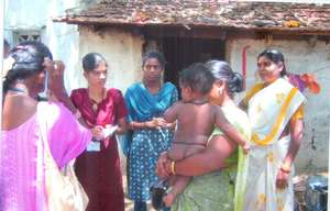 Conducting Survey