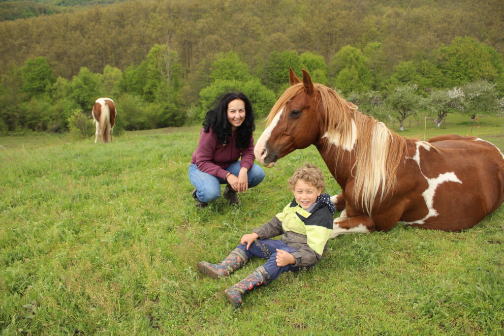 Become a Guardian of a Therapy Horse Herd
