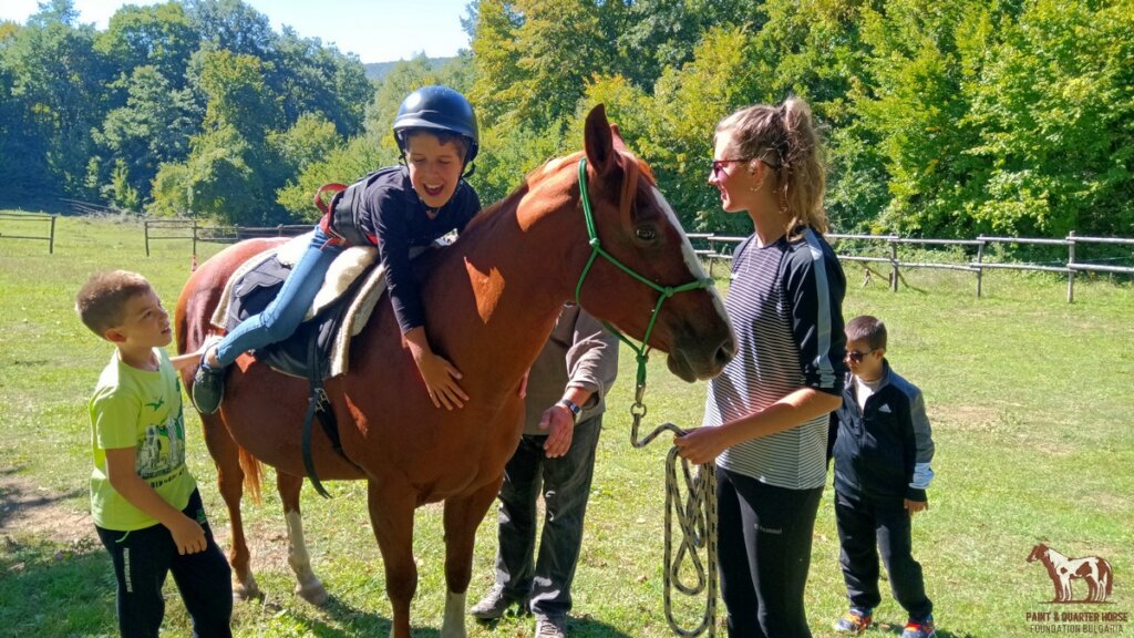 Become a Guardian of a Therapy Horse Herd