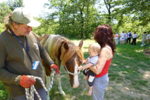 Become a Guardian of a Therapy Horse Herd