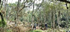 Exploitation of the PNKB's forest resources