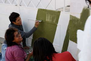 Contemporary Mural "Campo Expandido XXVI"