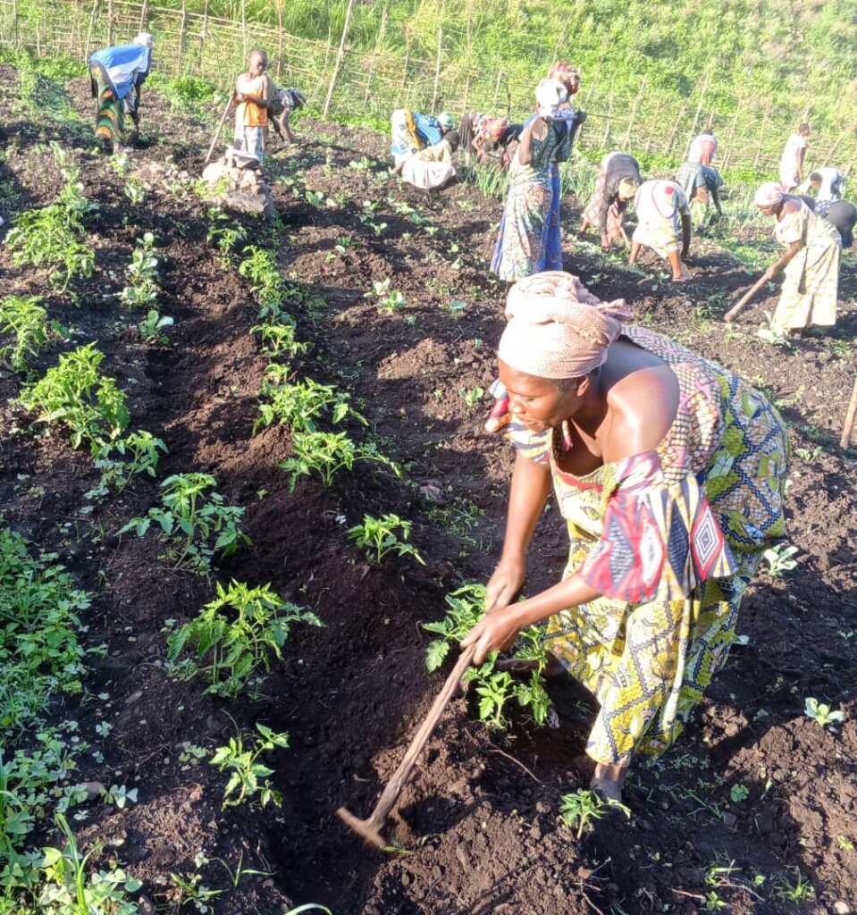 Support Income-Generating Activities for Batwa Wom