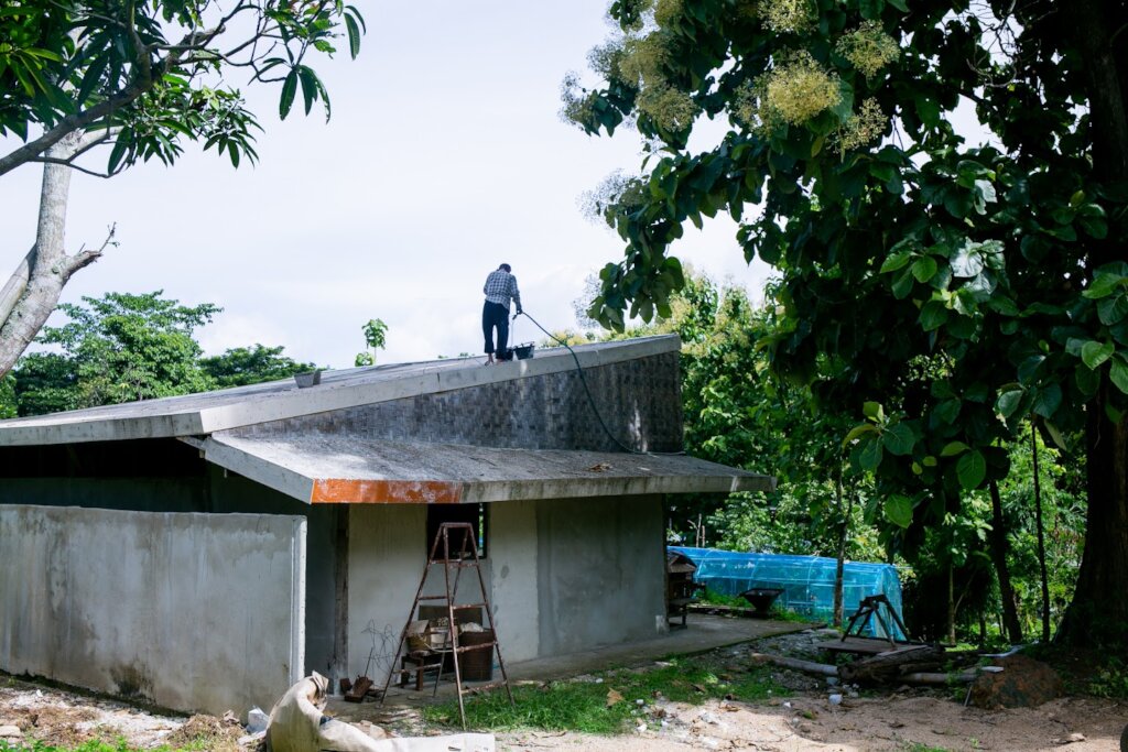 A Green Cafe That Supports Children