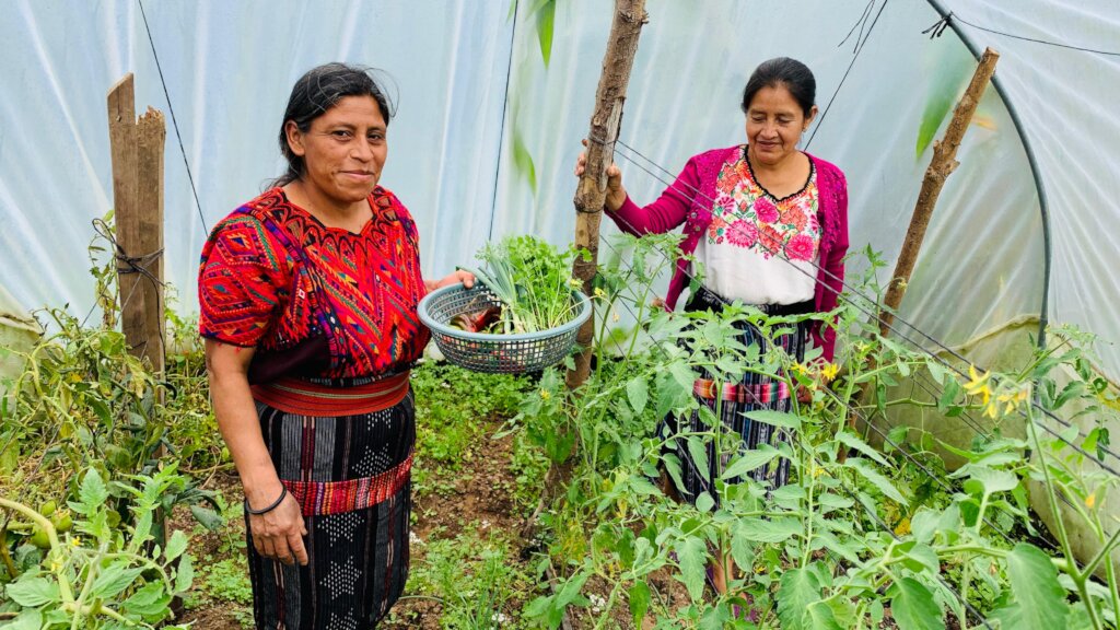 Support Indigenous Women in Quiche, Guatemala
