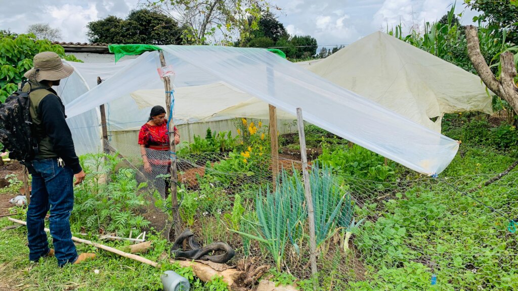 Support Indigenous Women in Quiche, Guatemala