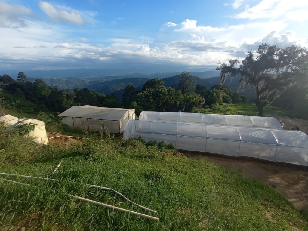 Support Indigenous Women in Quiche, Guatemala