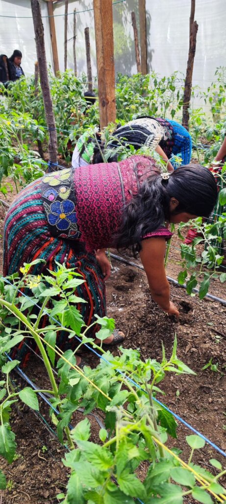 Support Indigenous Women in Quiche, Guatemala