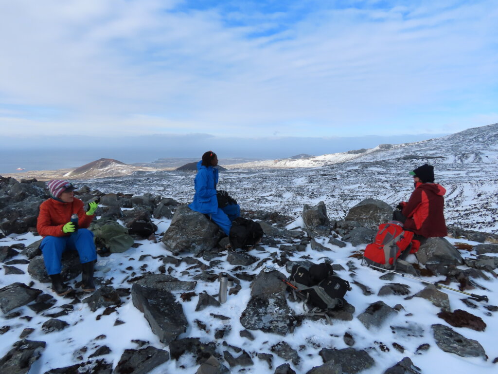 Saving Marion Island's Seabirds: The MFM Project