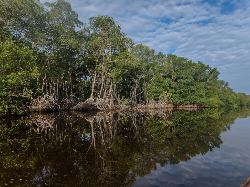 Saving Sea Turtles and Coastal Ecosystems in Guate