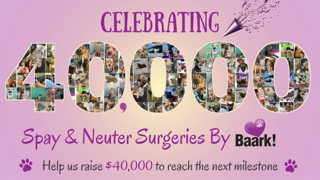40K Surgeries: Help raise $4K for the Next Step!
