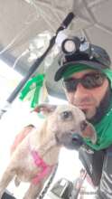 Help Animals After the Venezuela Earthquakes