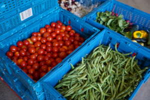 Vegetables