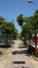 Tebbenneh Garden