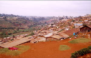 Shauri Yako
