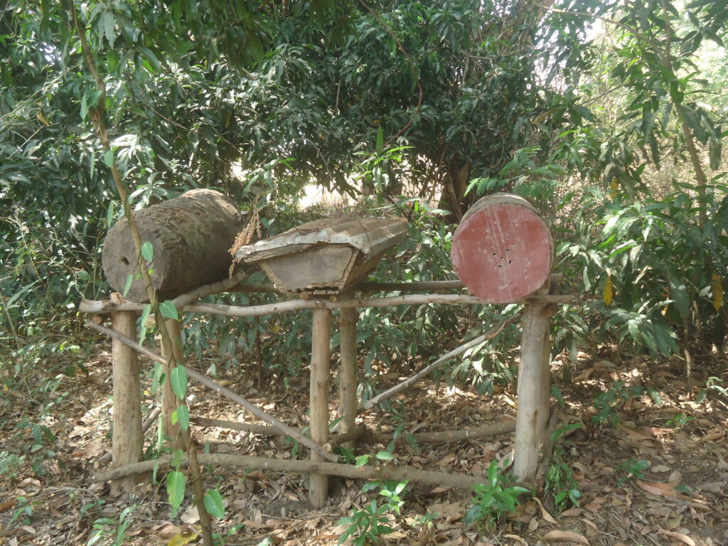 Queen Bee Breeding for Sustainable Livelihoods