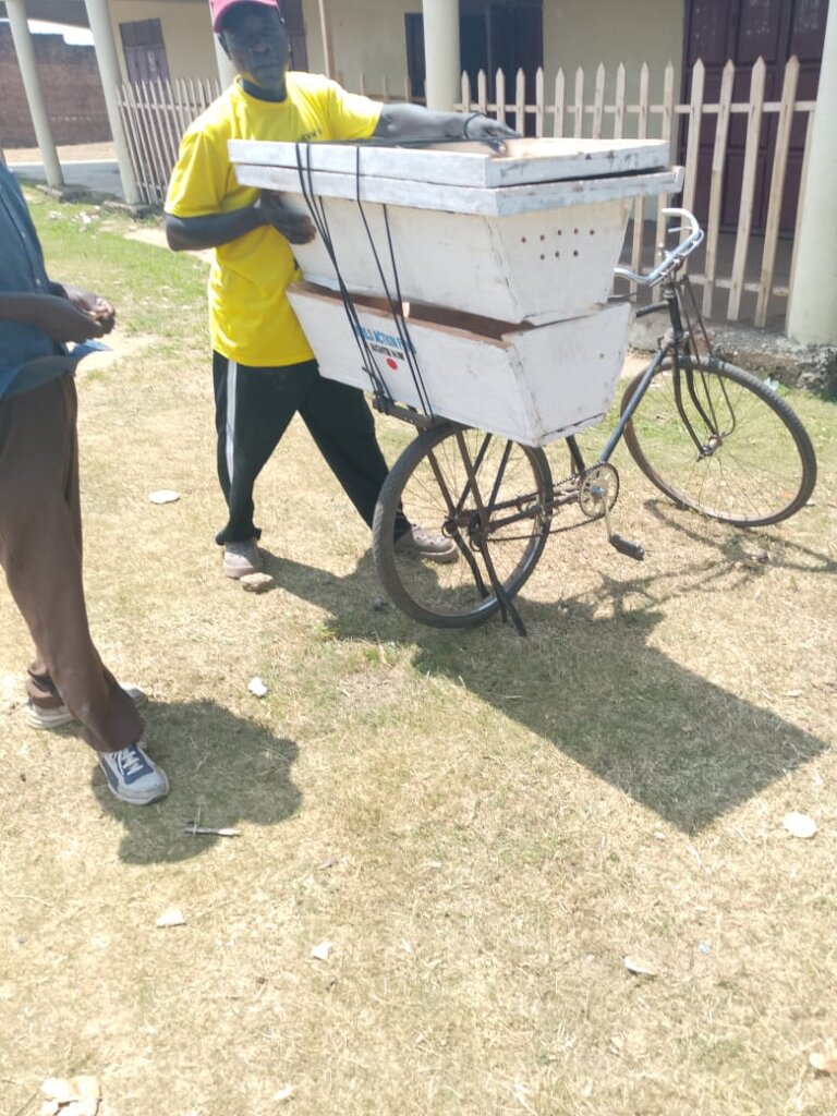 Queen Bee Breeding for Sustainable Livelihoods
