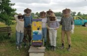 Queen Bee Breeding for Sustainable Livelihoods